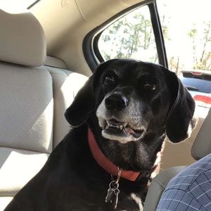 Meet your Posher, Ashley